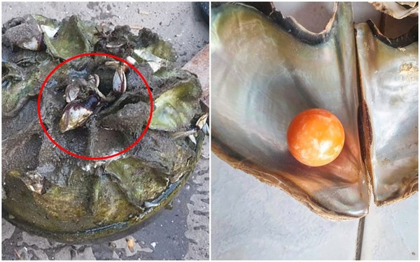 가난한 어부 인생역전 시킨 '주황색 구슬'의 정체