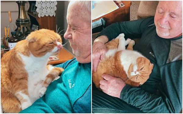 우연히 만난 고양이 덕분에 ‘암’ 이겨낸 男