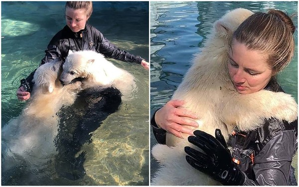 “무서웡” 새끼 북극곰들의 첫 수영 도전기!