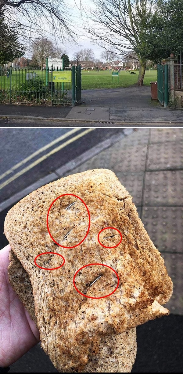 스테이플러가 박힌 빵은 영국 노팅엄셔주 렌튼 공설 운동장 한편에서 발견됐으며, 다행히 개들이 건들기 전에 개를 산책시키던 한 사람이 먼저 발견해 큰 사고를 막을 수 있었다.