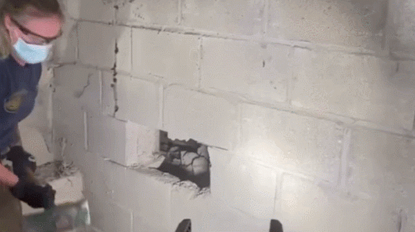 소방관들이 콘크리트 벽을 부수고 벽에 갇힌 강아지를 구해냈다. / 사진 출처= 데일리메일