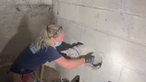 소방관들이 콘크리트 벽을 부수고 벽에 갇힌 강아지를 구해냈다. / 사진 출처= 데일리메일